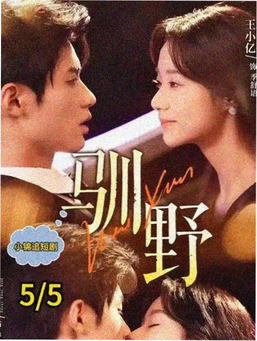 战争历史片推荐二